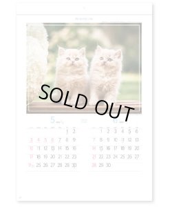 画像2: マイ　スウィーティ―　キャット＠299円〜(税込)