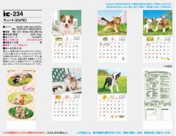画像5: キュート（CUTE)  100冊＠395円〜(税込)