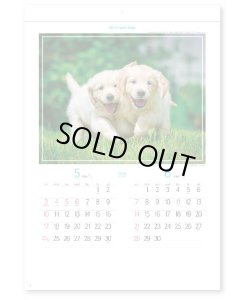 画像2: マイ　スウィーティ―　ドッグ＠299円〜(税込)