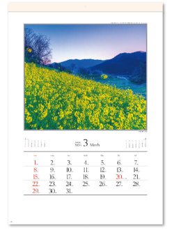 画像3: 四季十二彩＠595円〜(税込)