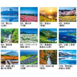 画像4: 四季彩花 ＠495円〜(税込)