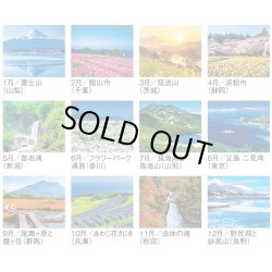 画像4: 四季彩花 ＠495円〜(税込)