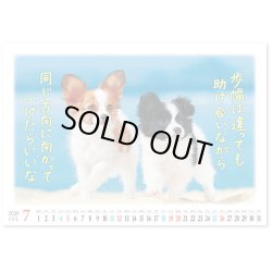 画像4: 卓上 すまいる＠560円〜(税込)