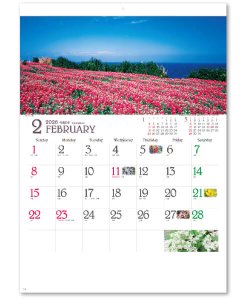 画像2: 四季彩花 ＠495円〜(税込)