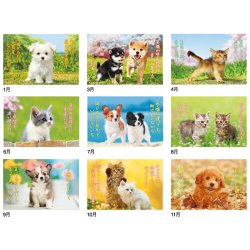画像4: すまいる ＠535円〜(税込)