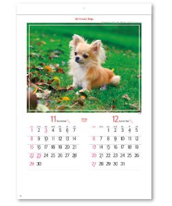 画像3: マイ　スウィーティ―　ドッグ＠299円〜(税込)