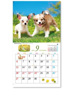 画像4: キュート（CUTE)  100冊＠395円〜(税込)