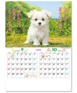 画像3: こいぬのきもち ＠460円〜(税込)
