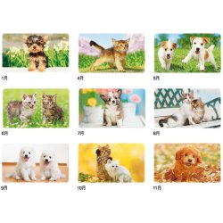 画像4: Dear Family（ディアーファミリー）＠515円〜(税込)