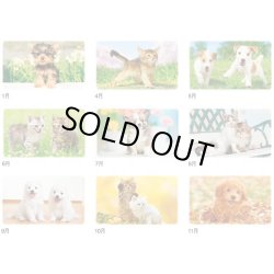 画像4: Dear Family（ディアーファミリー）＠515円〜(税込)