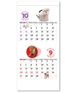 画像4: DOG・DOG・DOG　ミシン目入り＠285円〜(税込)