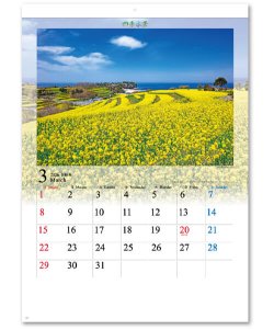 画像3: 四季水景 ＠460円〜(税込)