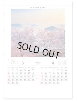 画像3: 彩  ＠ 415円〜(税込)