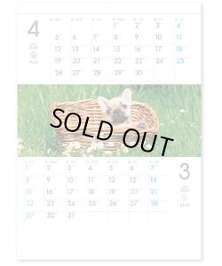 画像2: THE DOGS  ミシン目入り ＠390円〜(税込)