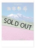 四季彩峰  ＠430円〜(税込)