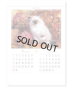 画像3: マイ　スウィーティ―　キャット＠299円〜(税込)