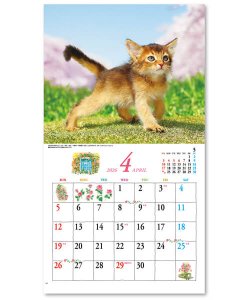 画像3: キュート（CUTE)  100冊＠395円〜(税込)
