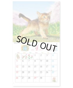 画像3: キュート（CUTE)  100冊＠395円〜(税込)