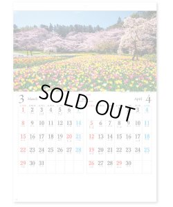 画像2: 日本六景＠275 円〜(税込)