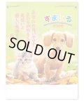 すまいる ＠535円〜(税込)