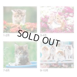 画像4: マイ　スウィーティ―　キャット＠299円〜(税込)