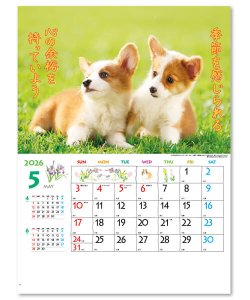 画像3: すまいる ＠535円〜(税込)