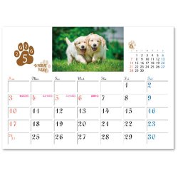 画像2: キャット＆ドッグ(エコペーパーリング）＠466円〜(税込)
