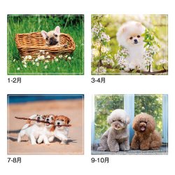 画像4: マイ　スウィーティ―　ドッグ＠299円〜(税込)