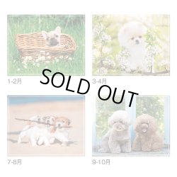 画像4: マイ　スウィーティ―　ドッグ＠299円〜(税込)