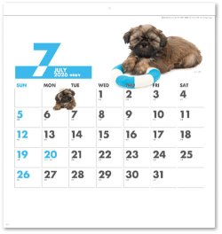画像3: DOG DOG DOG  ＠495円〜(税込)