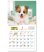 画像2: キュート（CUTE)  100冊＠395円〜(税込) (2)