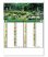 画像4: 名園六景　＠275円〜(税込) (4)