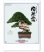 画像1: 自然愛 ＠415円〜(税込) (1)