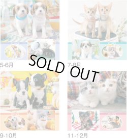 画像4: マイペット　(フィルム）＠970円〜(税込)