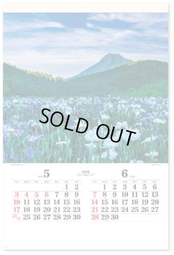 画像3: 四季光耀（フィルム）  ＠970円〜(税込)