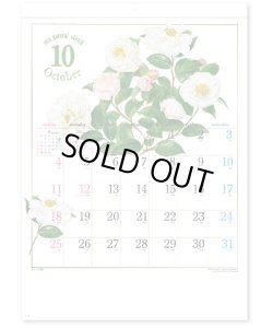 画像4: ナチュラル スケッチ  ＠460円〜(税込)