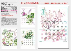 画像5: ナチュラル スケッチ  ＠460円〜(税込)