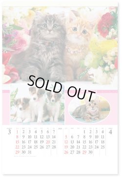 画像2: マイペット　(フィルム）＠970円〜(税込)