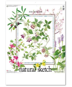 画像1: ナチュラル スケッチ  ＠460円〜(税込)