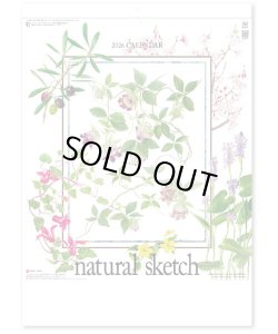 画像1: ナチュラル スケッチ  ＠460円〜(税込)