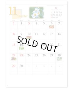 画像4: 四季の花もよう  ＠460円〜(税込)