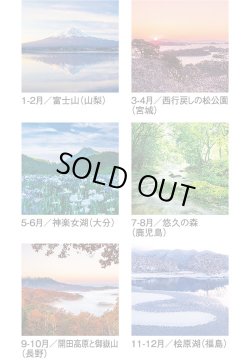 画像4: 四季光耀（フィルム）  ＠970円〜(税込)