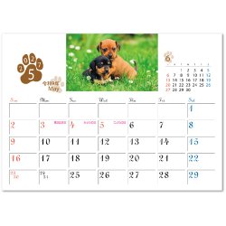 画像2: キャット＆ドッグ(エコペーパーリング）＠466円〜(税込)