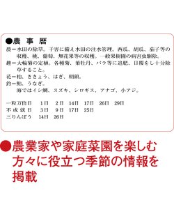 画像4: 厚口文字月表　晴雨表入り・年間予定表付＠350円〜(税込)