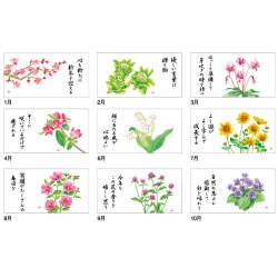 画像4: 花ごよみ  ＠495円〜(税込)
