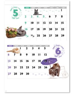 画像3: CAT・CAT・CAT 　＠390円〜(税込)