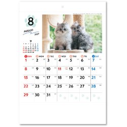 画像4: わんmoreにゃん（壁掛けA4ミニ）＠309円〜(税込)
