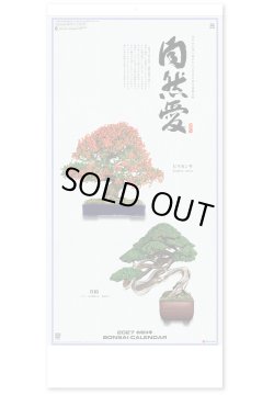 画像1: 自然愛 ＠595円〜(税込)