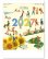 画像1: 小人たちの詩＠460円〜(税込) (1)