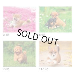画像4: マイ　スウィーティ―　ドッグ＠299円〜(税込)
